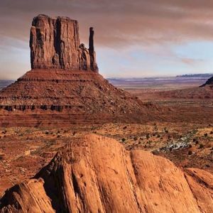 Meet your Posher, Basil